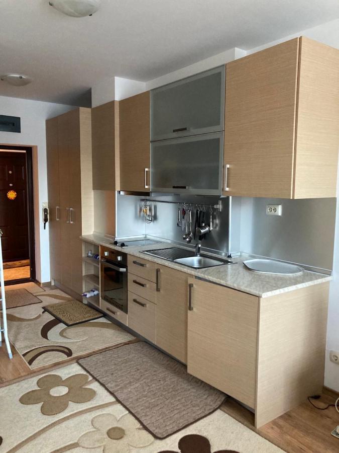 Studio Detelina Residence Bansko Exterior photo