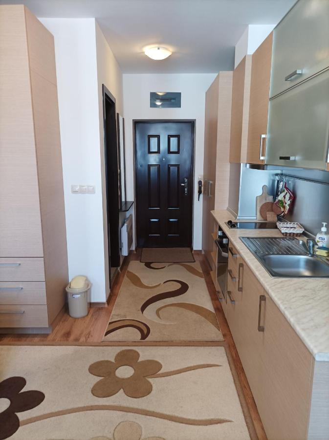 Studio Detelina Residence Bansko Exterior photo