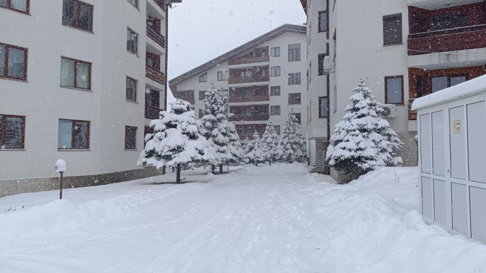 Studio Detelina Residence Bansko Exterior photo