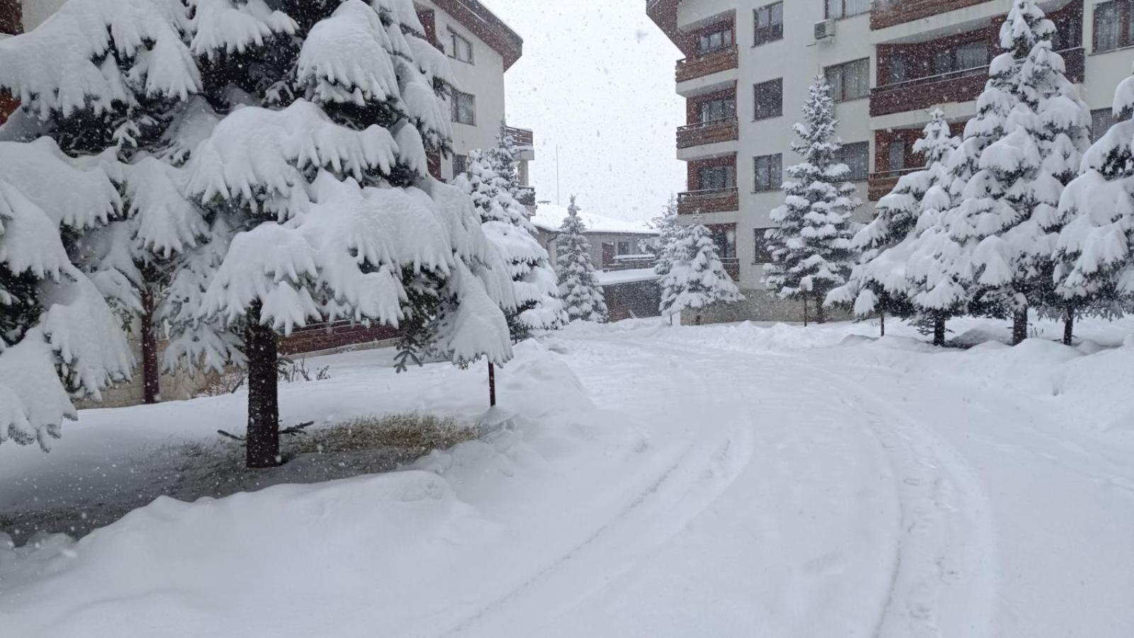 Studio Detelina Residence Bansko Exterior photo