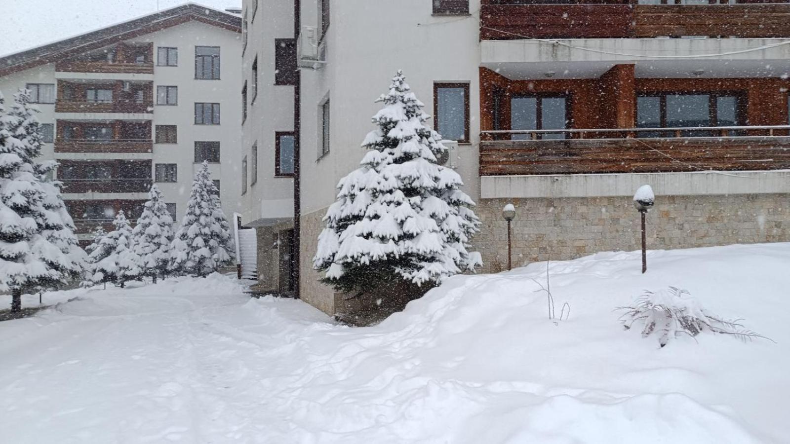 Studio Detelina Residence Bansko Exterior photo