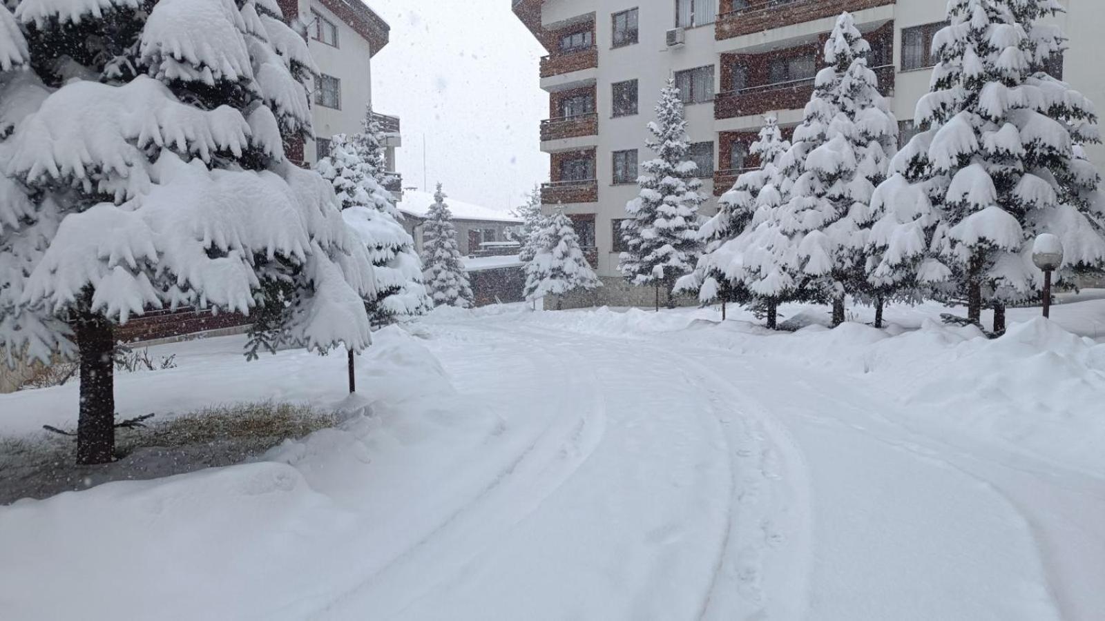 Studio Detelina Residence Bansko Exterior photo