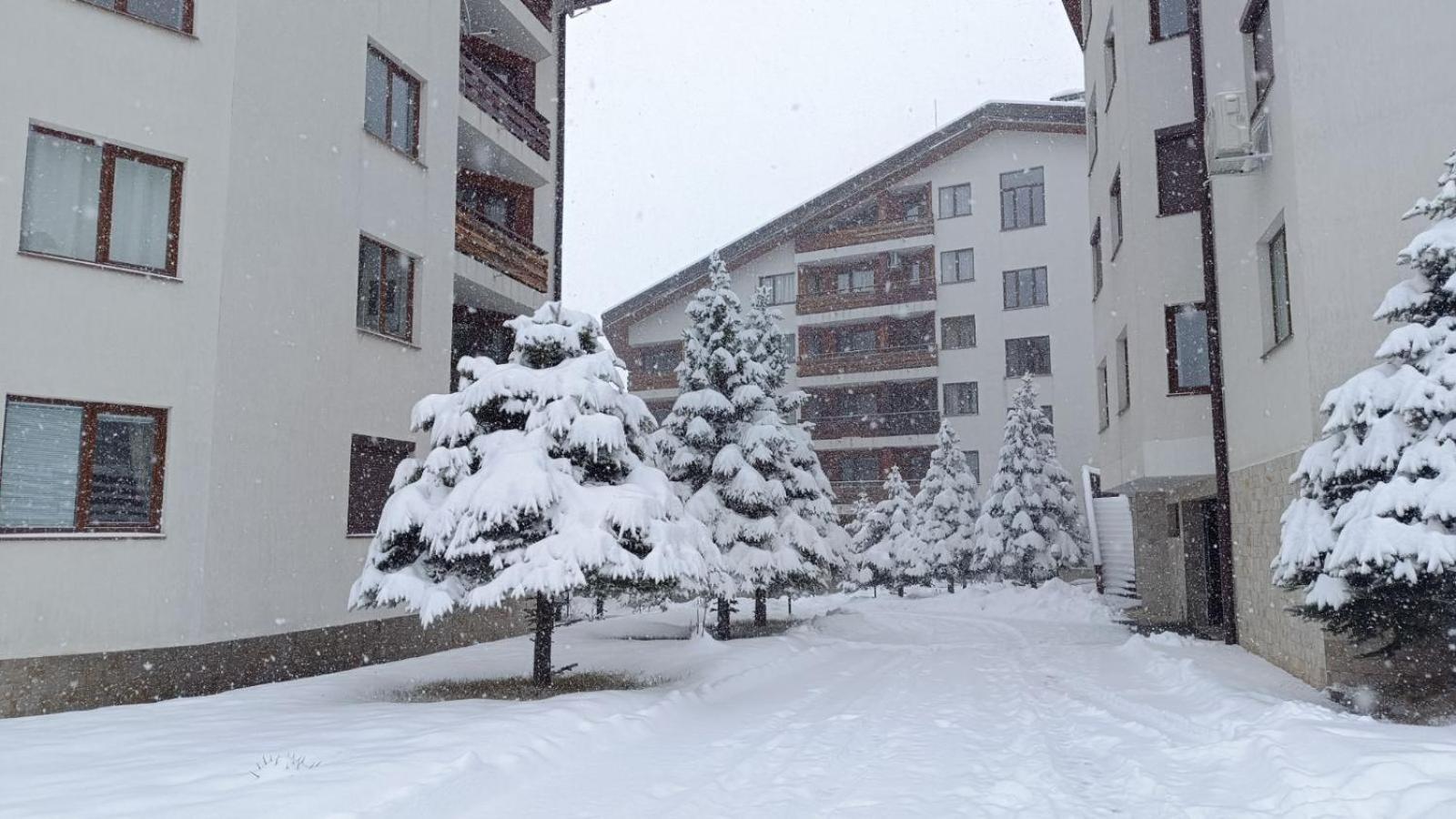 Studio Detelina Residence Bansko Exterior photo