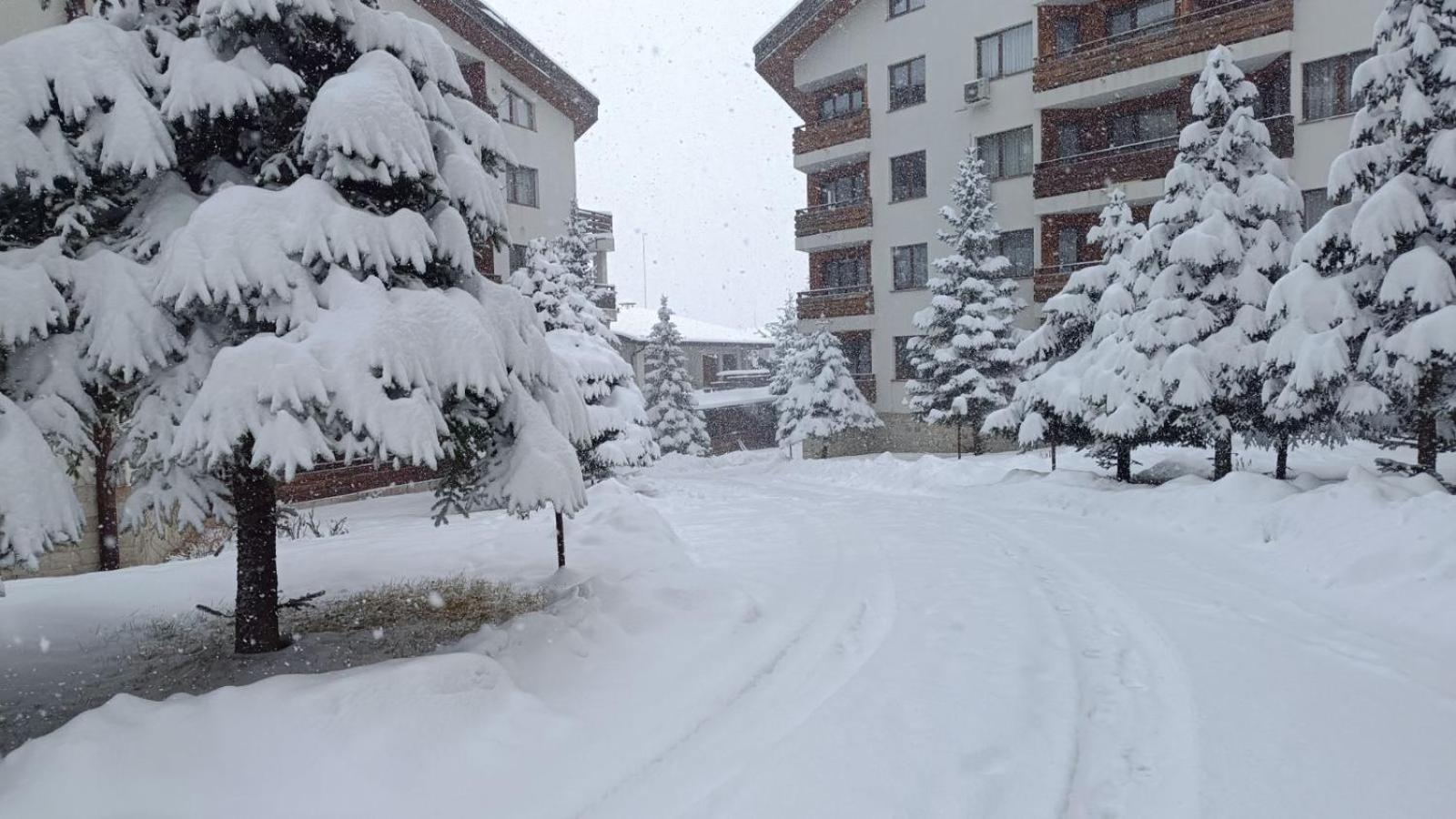 Studio Detelina Residence Bansko Exterior photo