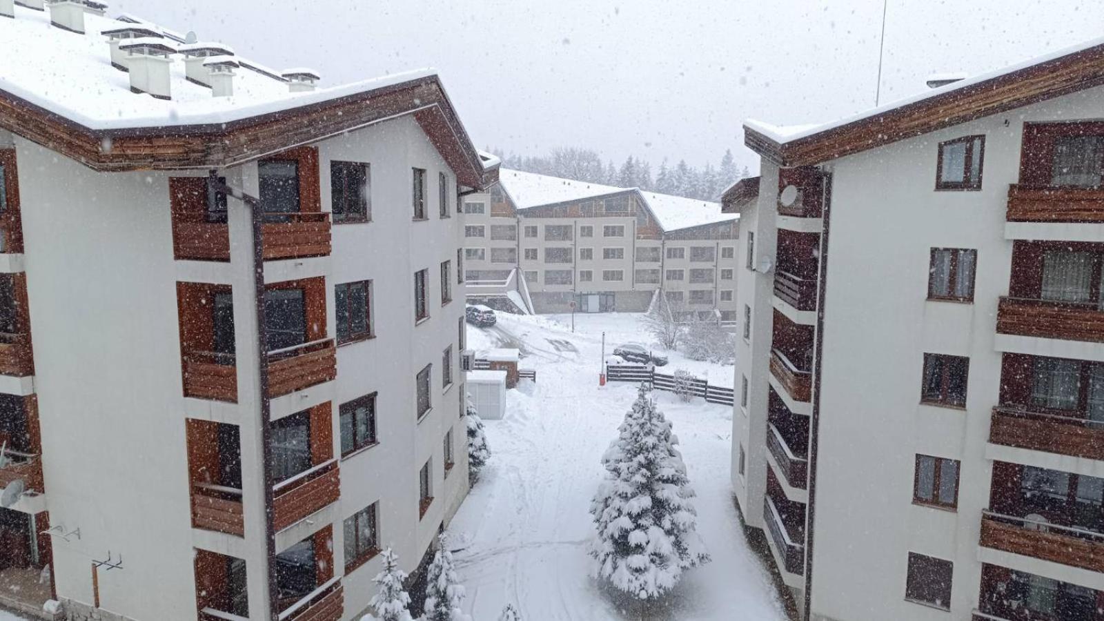 Studio Detelina Residence Bansko Exterior photo