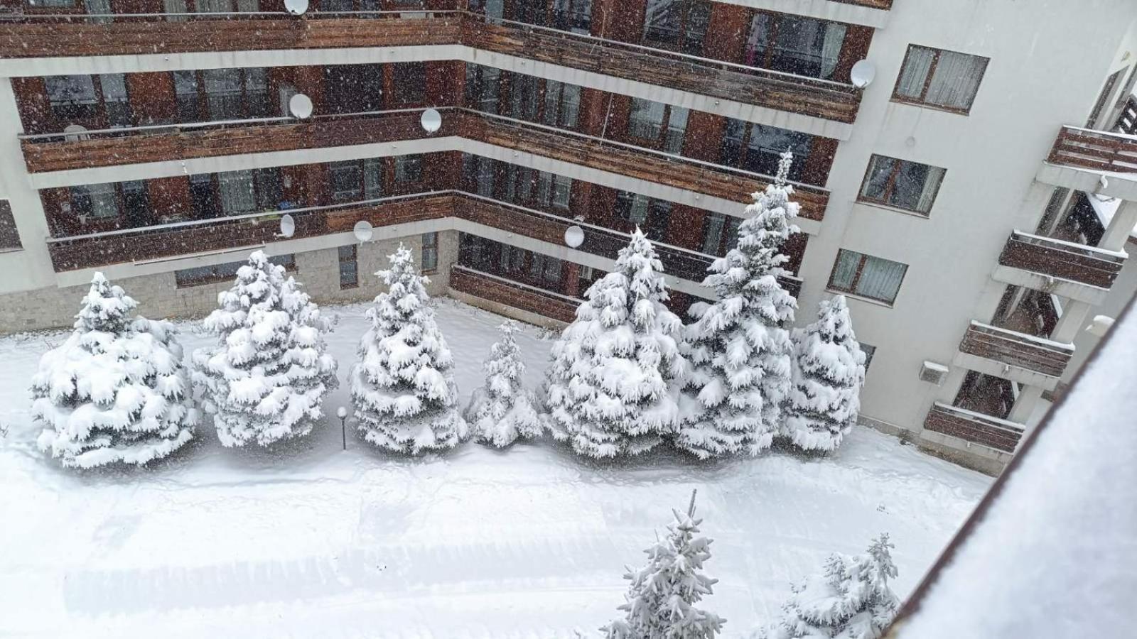 Studio Detelina Residence Bansko Exterior photo