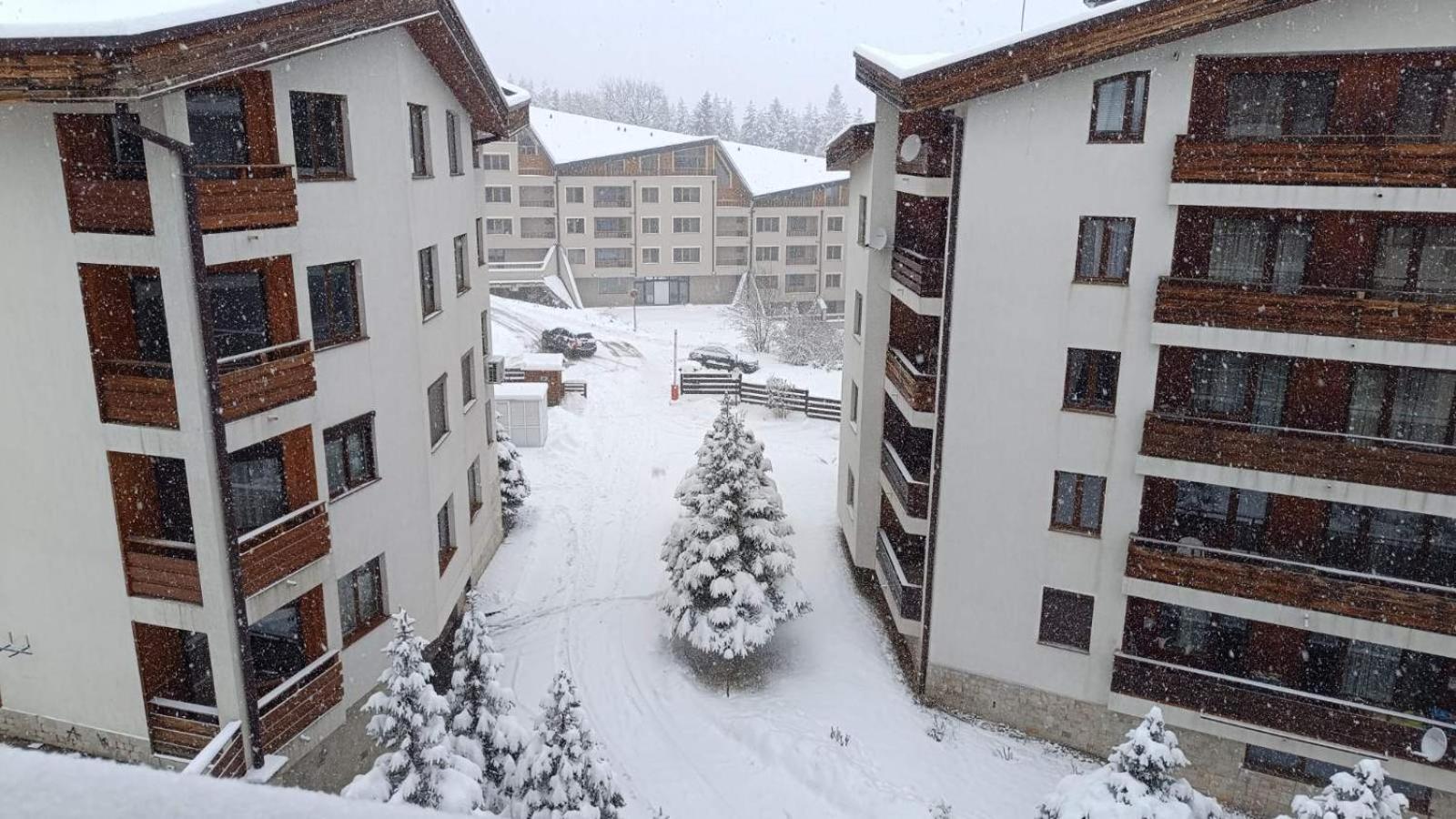 Studio Detelina Residence Bansko Exterior photo